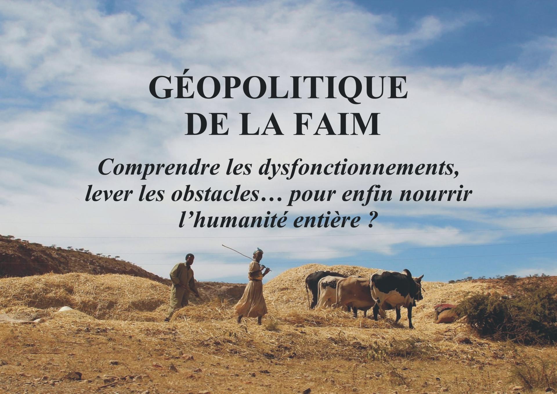 Visuel geopolitique de la faim